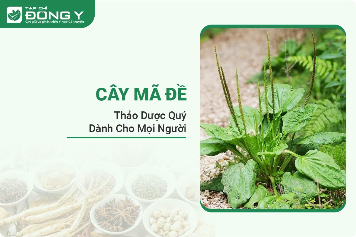 cay-ma-de