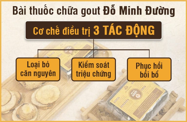 Thuốc gout Đỗ Minh có cơ chế tác động từ gốc đến ngọn