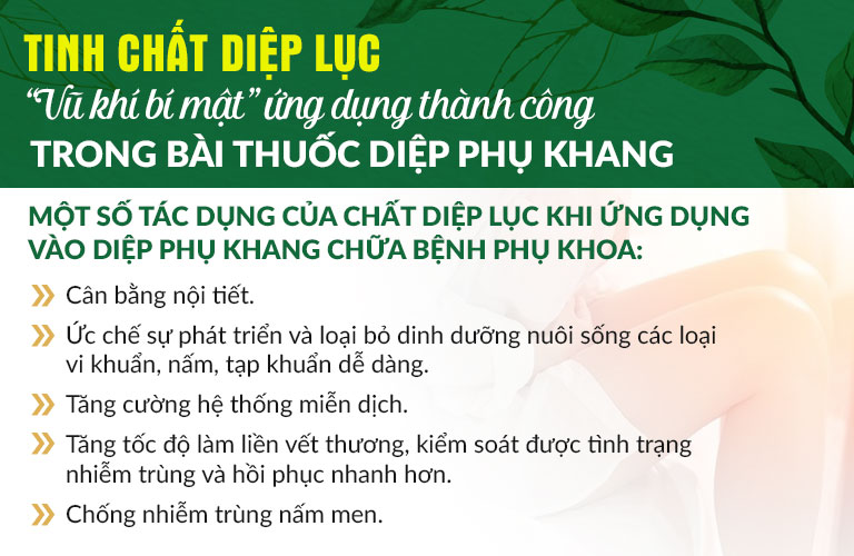 Tinh chất diệp lục chứa nhiều hoạt chất tốt cho chị em