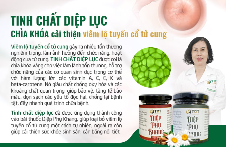 Tinh chất diệp lục chỉ có trong Diệp phụ khang