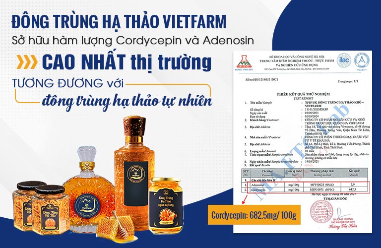 Đông trùng hạ thảo Vietfarm có hàm lượng dưỡng chất cao vượt trội