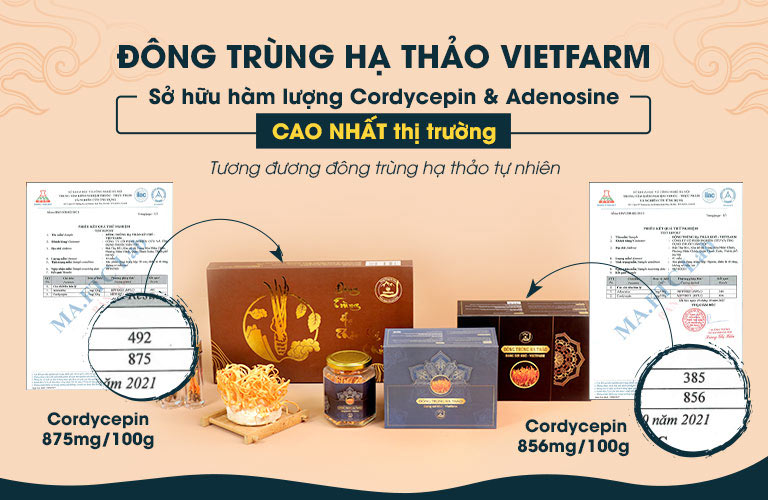 Kết quả kiểm định thành phần dưỡng chất của Đông trùng hạ thảo Vietfarm