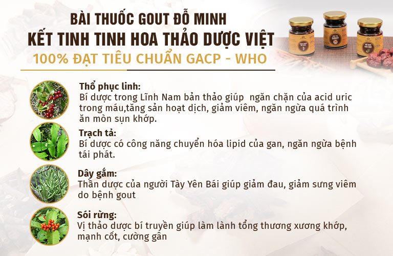 Một số thành phần chính trong bài thuốc Gout Đỗ Minh