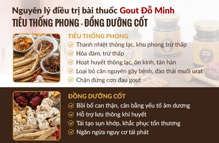 Cơ chế TIÊU THỐNG PHONG - ĐỒNG DƯỠNG CỐT được vận dụng trong bài thuốc Gout Đỗ minh Đường