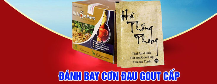 Hà Thống Phong là bài thuốc nam điều trị gout 3 đời của Gia Tộc Họ Hà, Đông y Hà Thống Phong