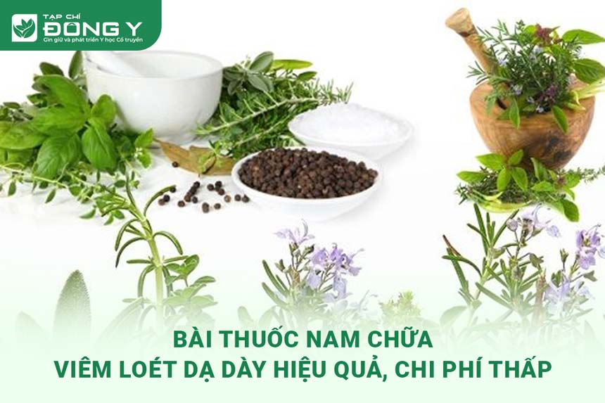 bai-thuoc-nam-chua-viem-loet-da-day