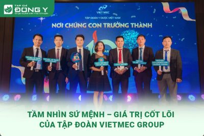 vietmecgroup