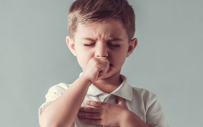 Ho có nên ăn trứng vịt không là câu hỏi rất nhiều người băn khoăn
