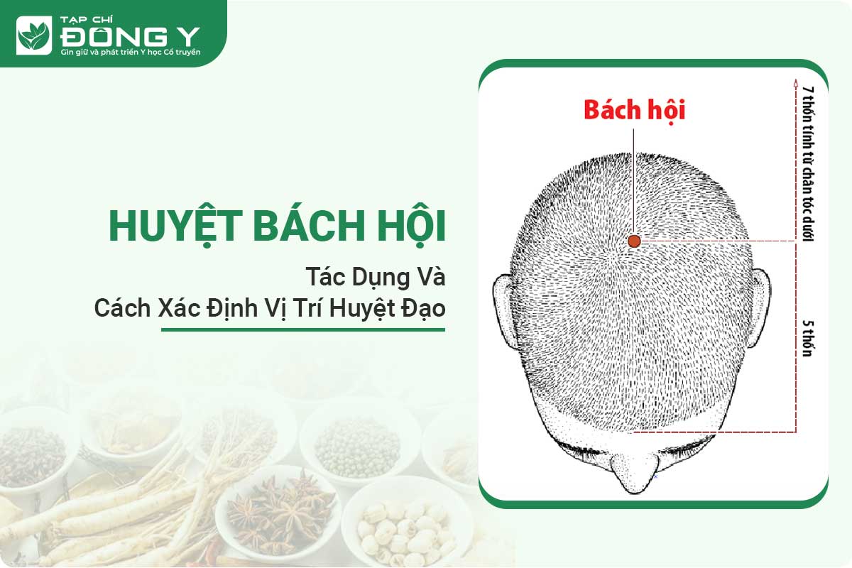 huyet-bach-hoi