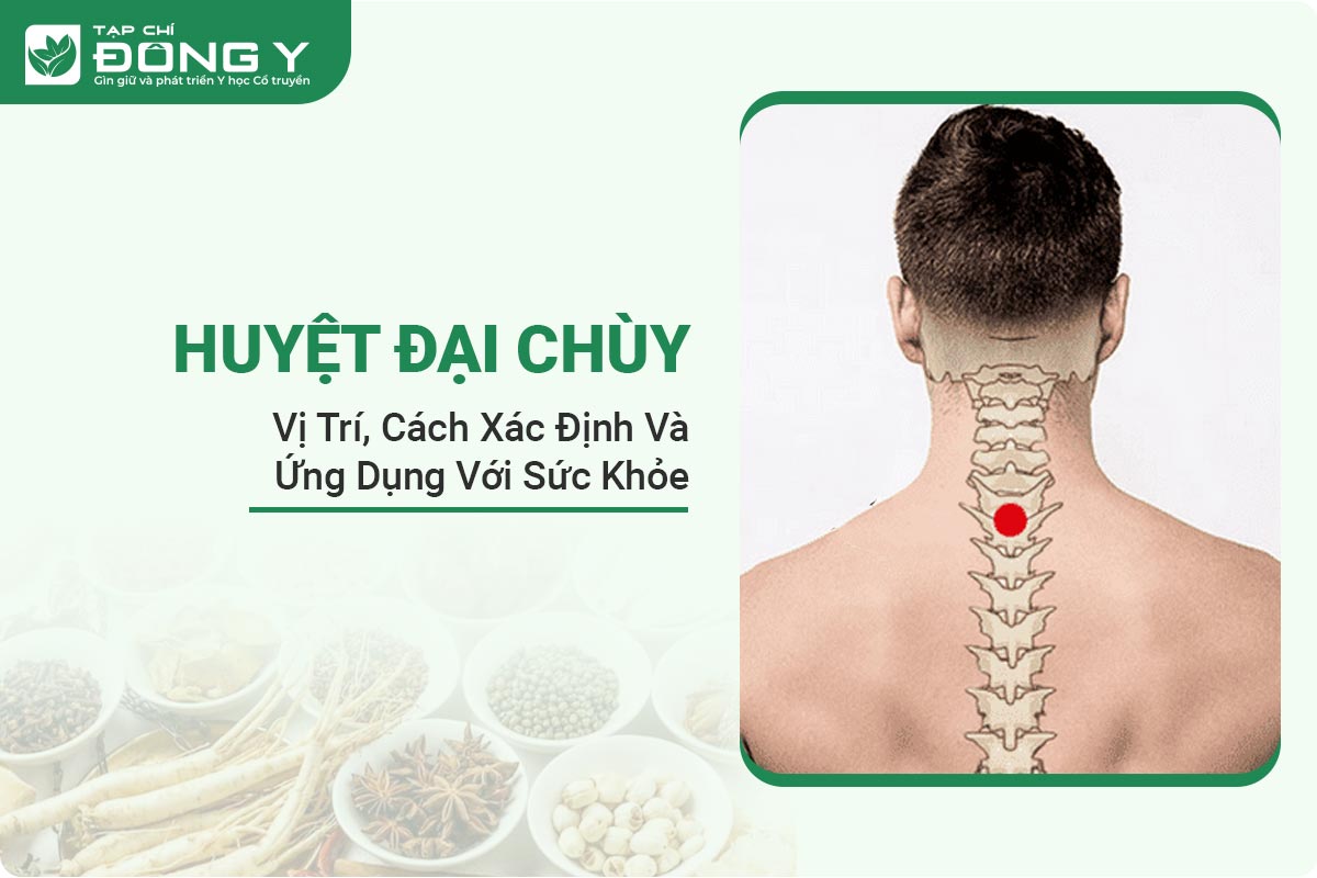 huyet-dai-chuy