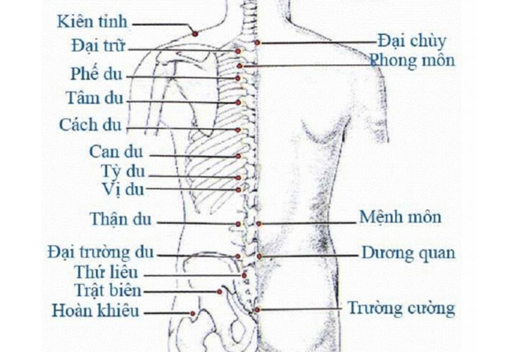 huyet-dai-chuy