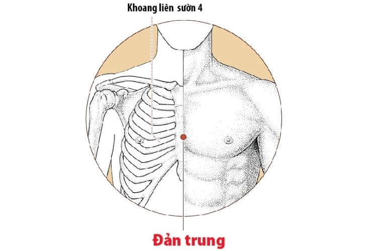 huyet-dan-trung