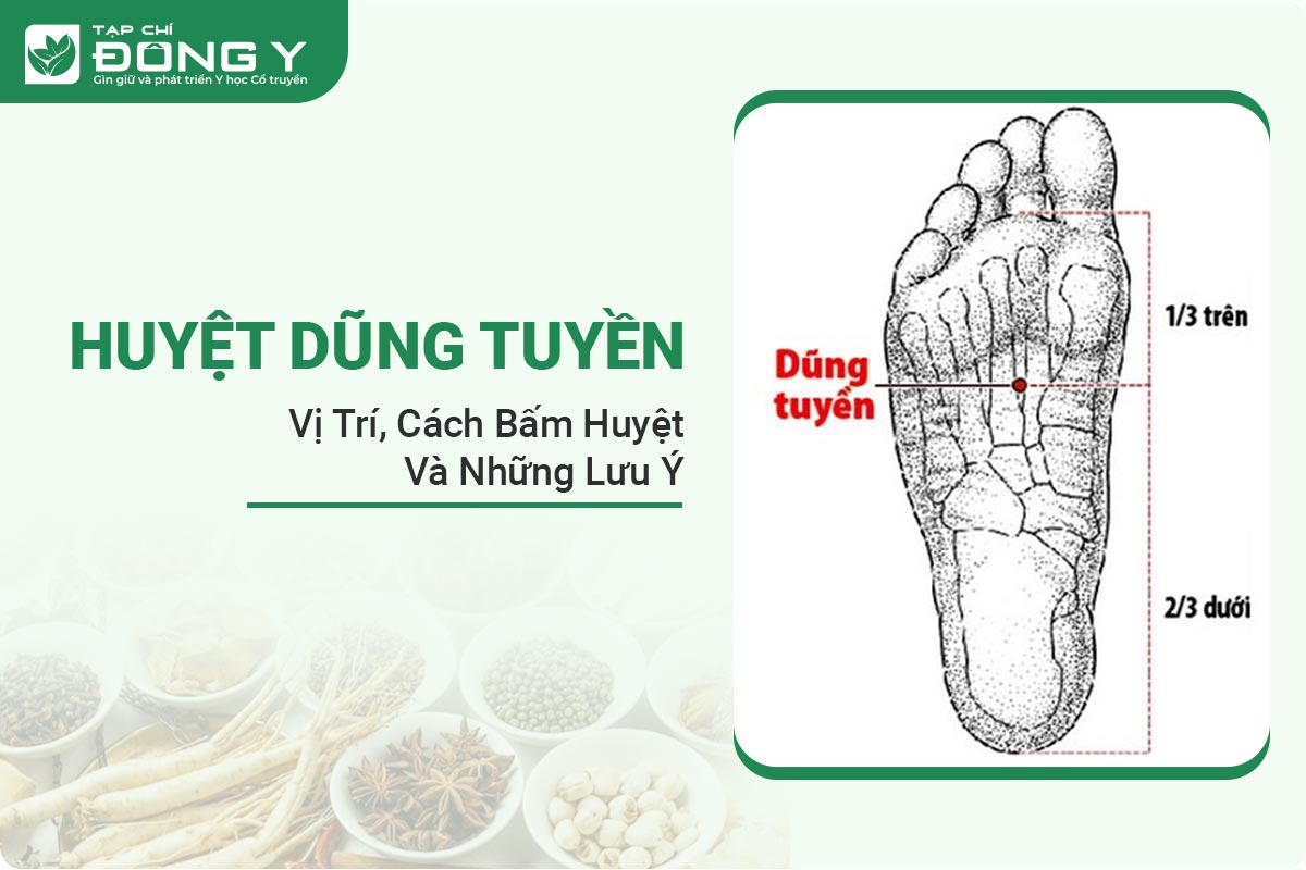 huyet-dung-tuyen