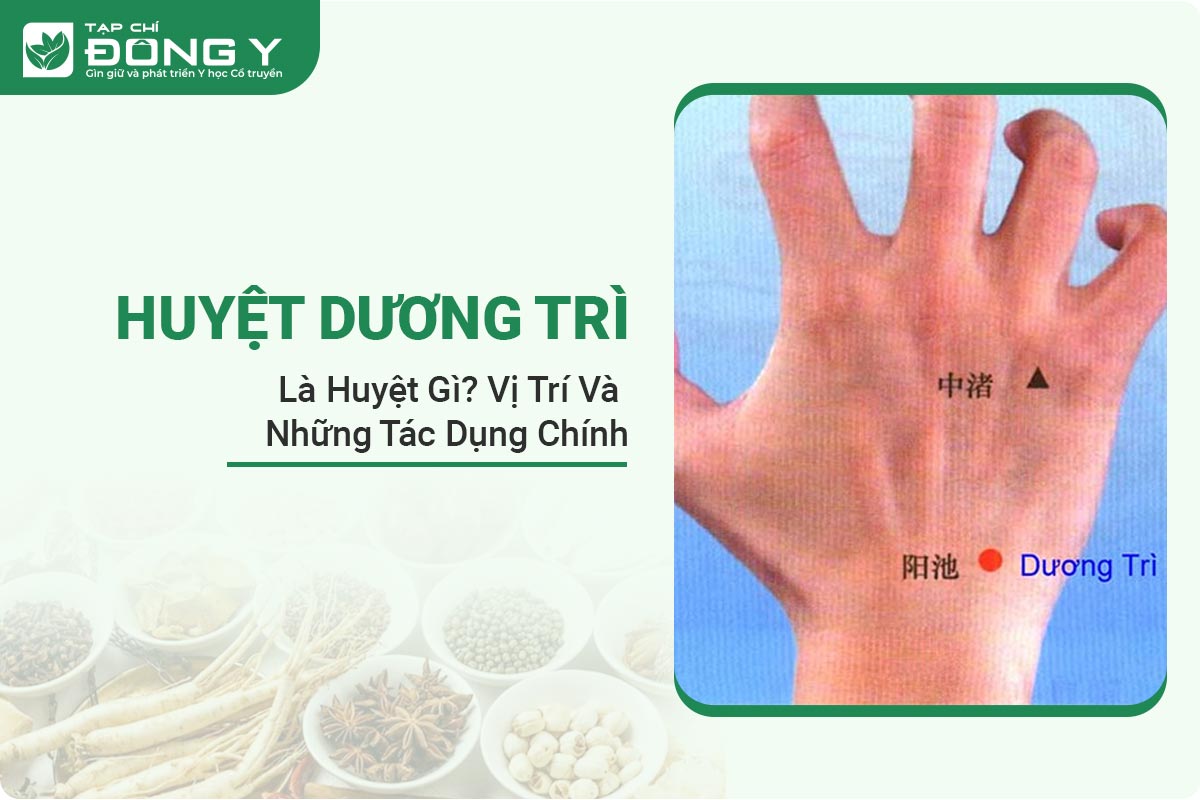 huyet-duong-tri