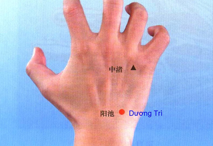 huyet-duong-tri