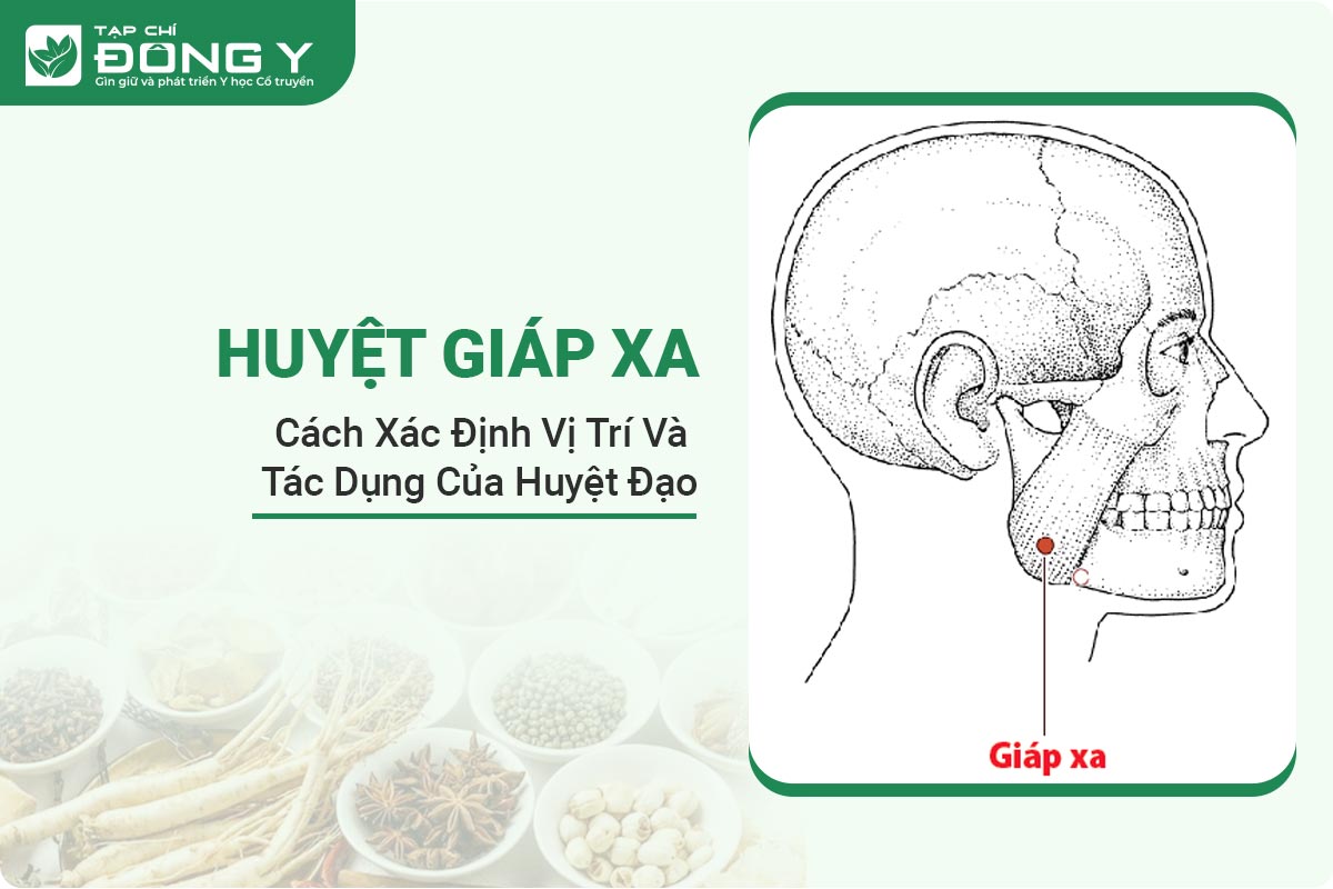 huyet-giap-xa