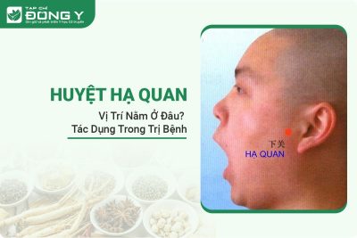 huyet-ha-quan