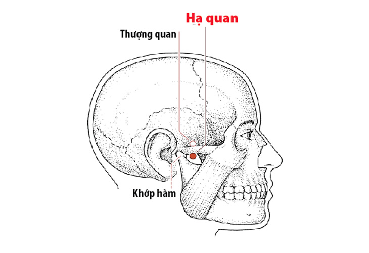 huyet-ha-quan