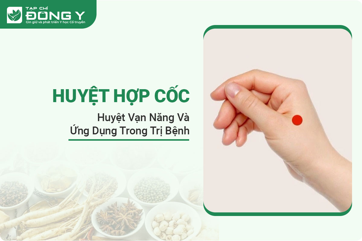 huyet-hop-coc