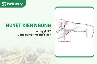 huyet-kien-ngung