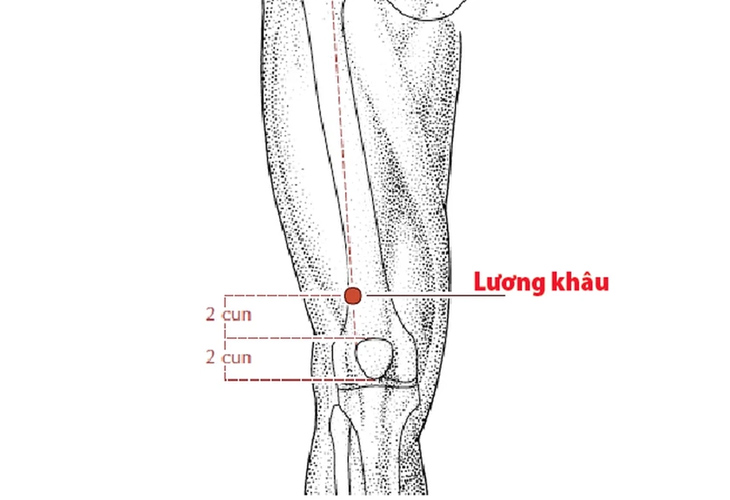 huyet-luong-khau