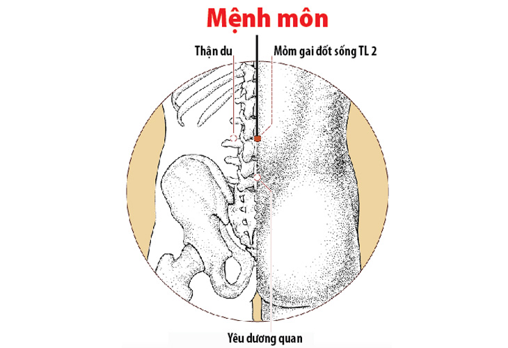 huyet-menh-mon