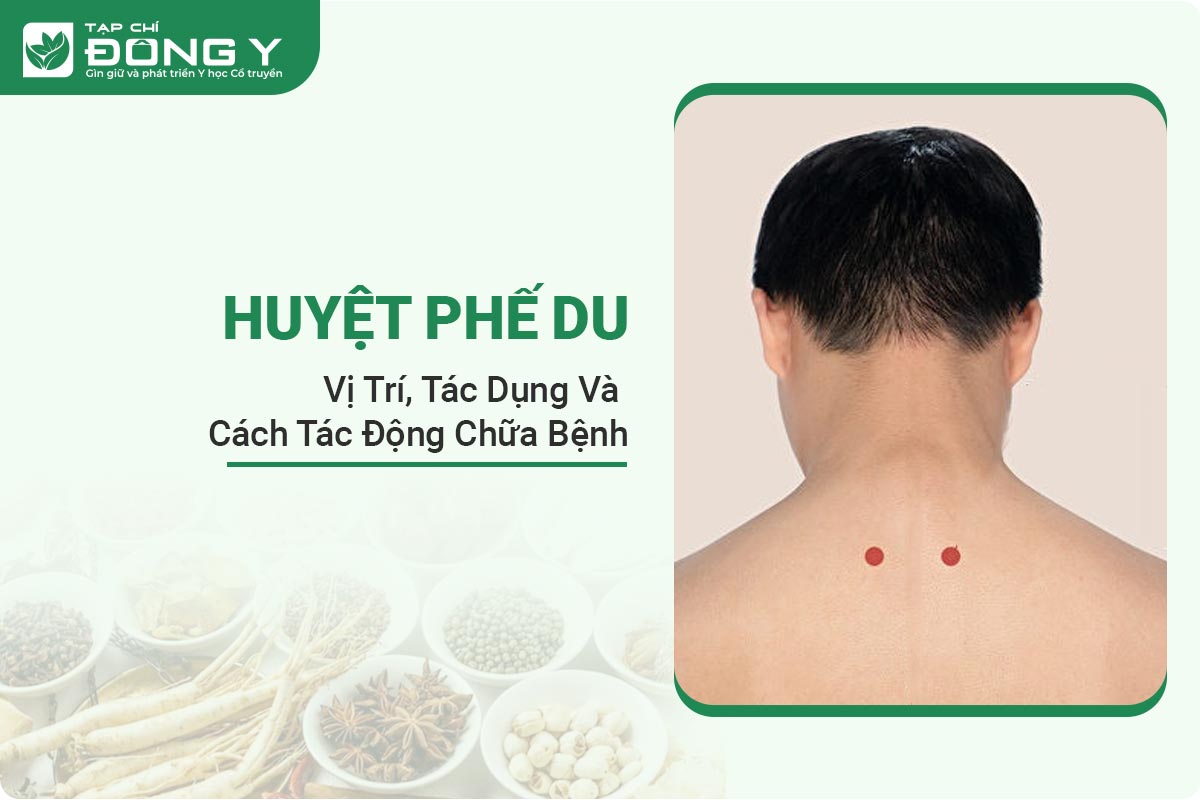 huyet-phe-du