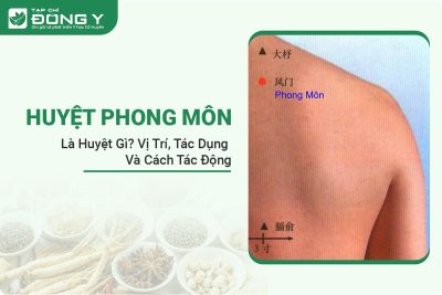 huyet-phong-mon