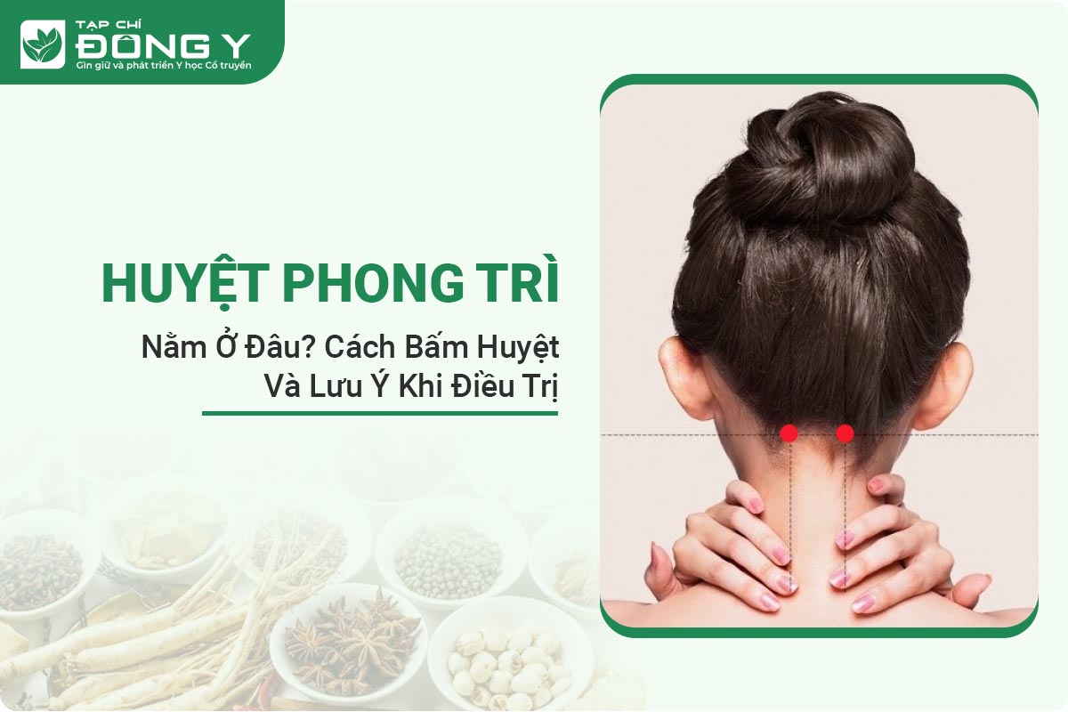 huyet-phong-tri