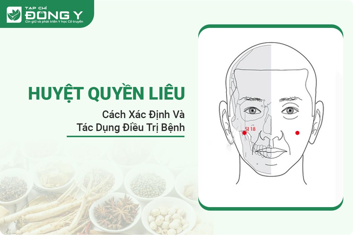 huyet-quyen-lieu