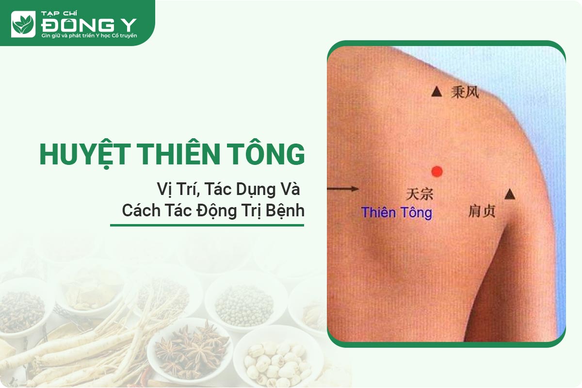 huyet-thien-tong