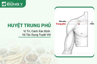 huyet-trung-phu