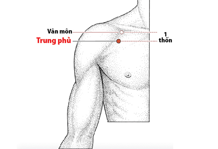 huyet-trung-phu