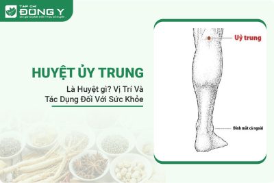 huyet-uy-trung