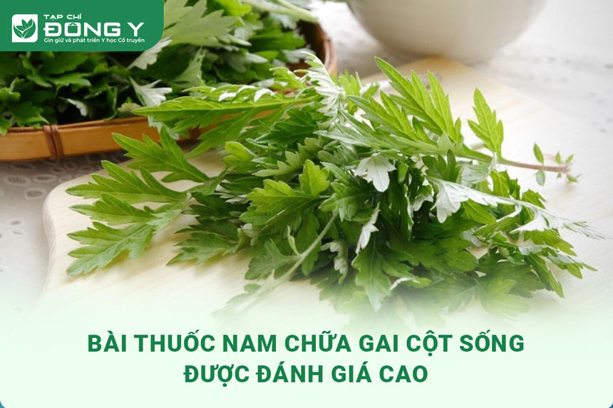 bai-thuoc-nam-chua-gai-cot-song