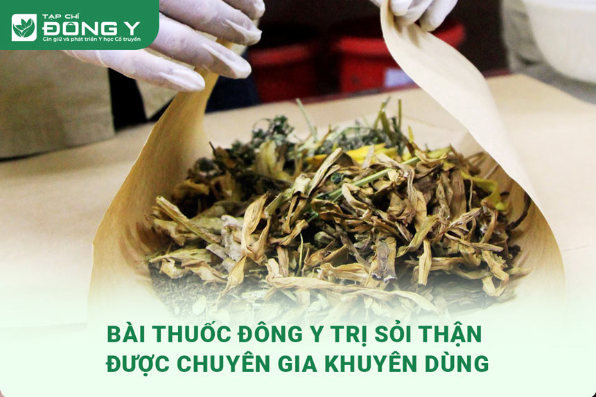 thuoc-dong-y-tri-soi-than