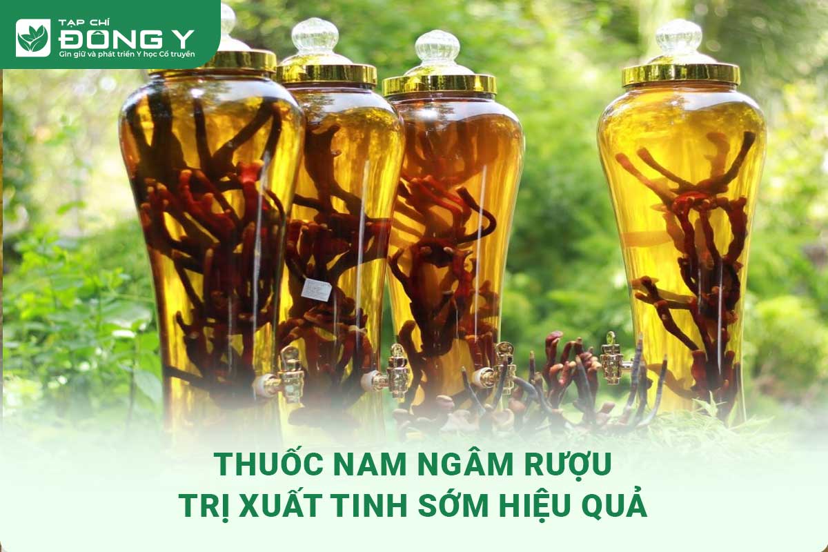 thuoc-nam-ngam-ruou-tri-xuat-tinh-som