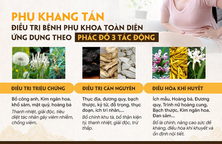 Phụ Khang Tán mang đến phác đồ 3 tác động giúp trị bệnh phụ khoa với hiệu quả toàn diện