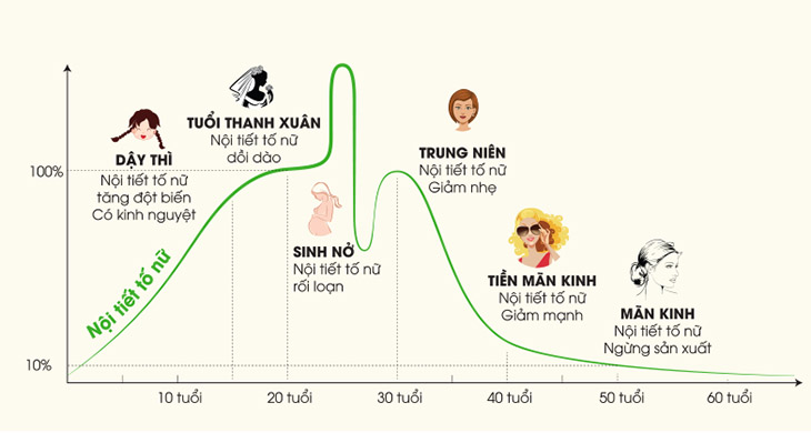 Có nhiều nguyên nhân suy giảm nội tiết tố nữ