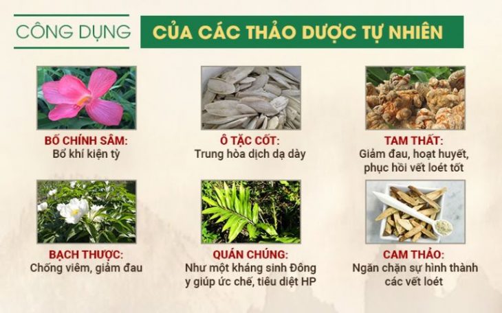 Sơ can Bình vị tán sử dụng thảo dược tự nhiên đảm bảo an toàn cho người bệnh