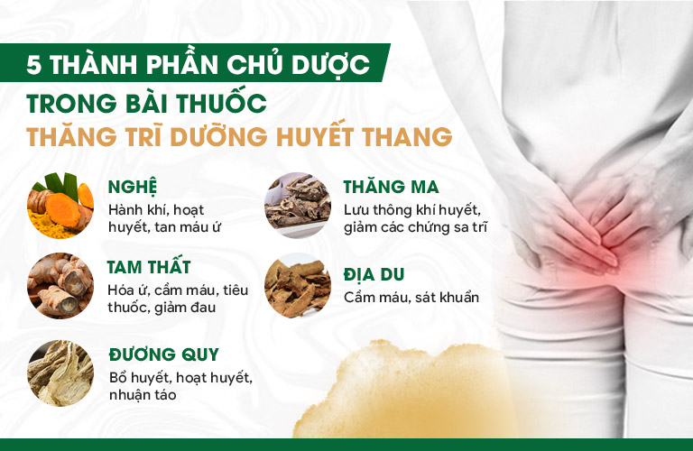 Một số chủ dược của bài thuốc