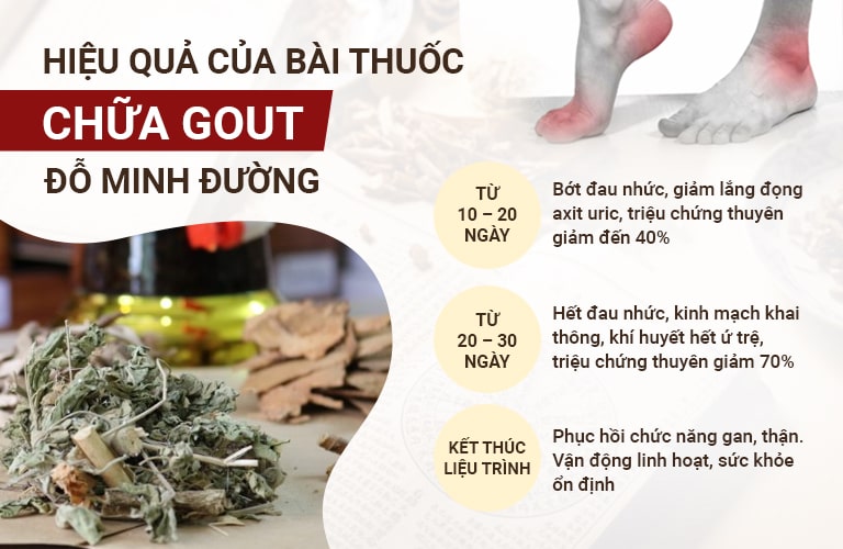 Hiệu quả của bài thuốc Gout Đỗ Minh