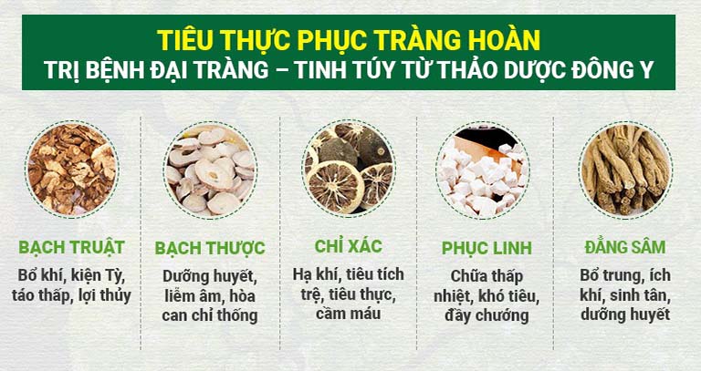 Thành phần thảo dược đặc trị có trong bài thuốc Tiêu thực Phục tràng hoàn chữa đại tràng