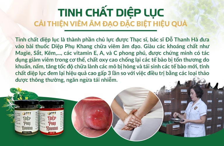 Điểm nổi bật chỉ có trong Diệp phụ khang