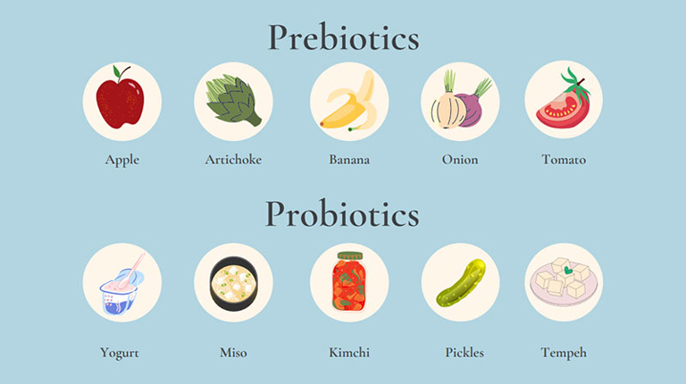 Probiotics là các vi khuẩn có lợi cho đường ruột, giúp cân bằng hệ vi sinh vật và giảm viêm nhiễm