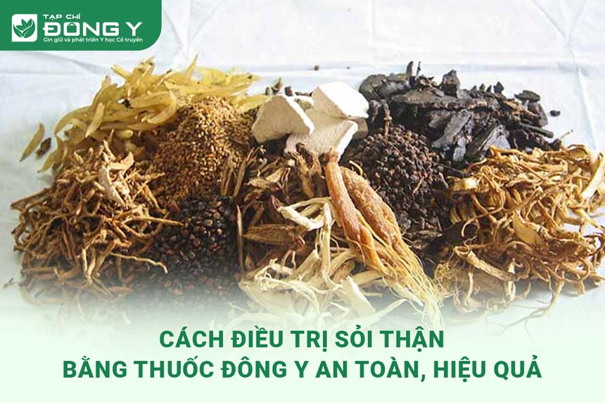 dieu-tri-soi-than-bang-thuoc-dong-y