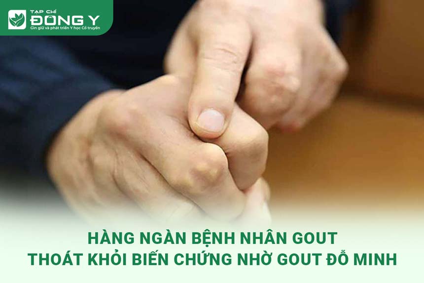 bai-thuoc-tri-gout-do-minh-duong