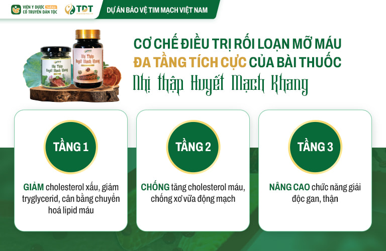 Tác dụng của bài thuốc Nhị thập Huyết mạch khang