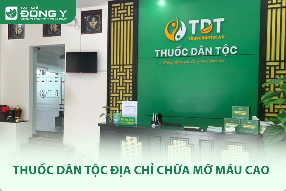 Thuốc Dân Tộc địa chỉ chữa mỡ máu cao