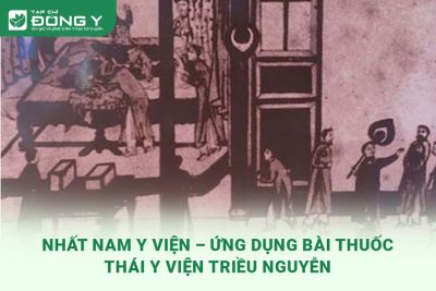 nhat-nam-y-vien-chua-benh-tu-cac-bai-thuoc-cua-thai-y-vien-dung-cho-vua-chua-trieu-nguyen